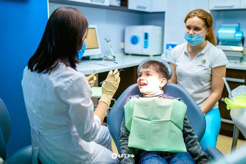 Галерея Стоматология - стоматология «Jasmin (Жасмин)» - фото 1566013