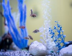 Современный медицинский центр Онли Клиник, Галерея - фото 1