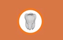 Пародонтология — Стоматология  «Dentalea Family (Денталеа Фэмили)» – цены - фото