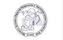 Логопедия —  «Институт детской и взрослой неврологии и эпилепсии им. Святителя Луки» – цены - фото