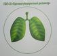 Логотип Пульмонология —  «Противотуберкулезный диспансер» – цены - фото лого