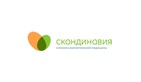 Логотип Репродуктивные программы — Клиника  «Скандинавия Ава-Казань» – цены - фото лого